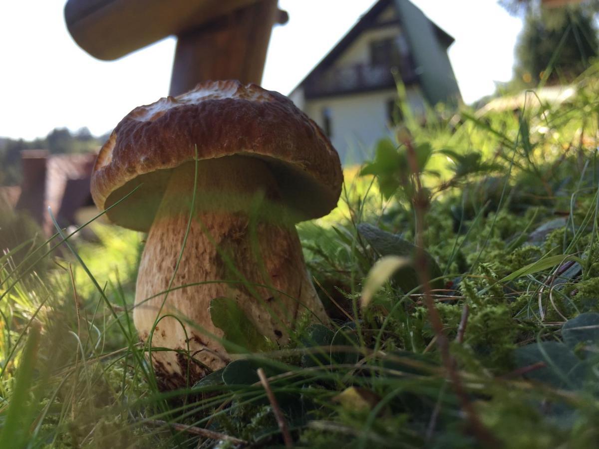 Cerla Korbielów Dış mekan fotoğraf