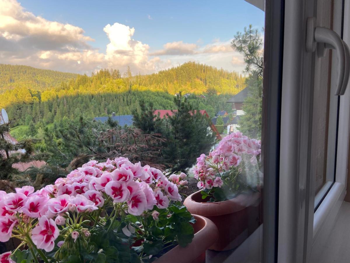 Cerla Korbielów Dış mekan fotoğraf
